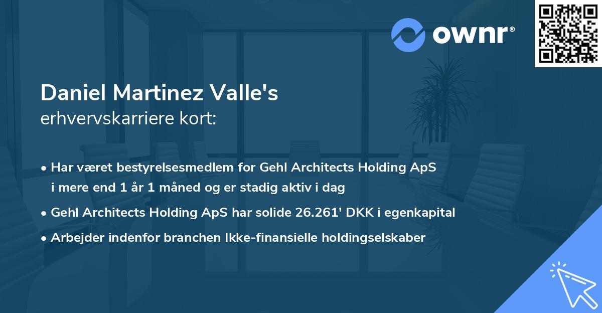 Daniel Martinez Valle's erhvervskarriere kort