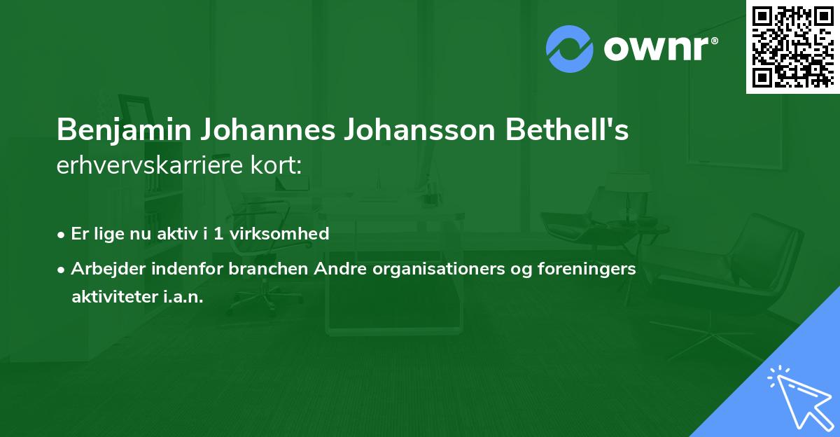Benjamin Johannes Johansson Bethell's erhvervskarriere kort