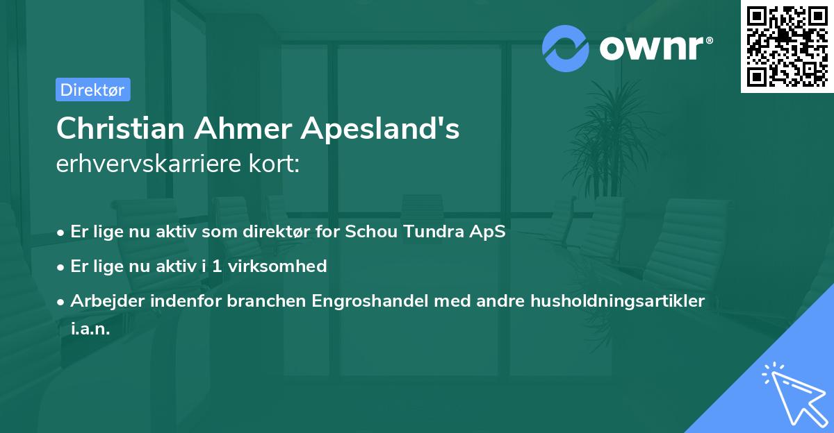 Christian Ahmer Apesland's erhvervskarriere kort