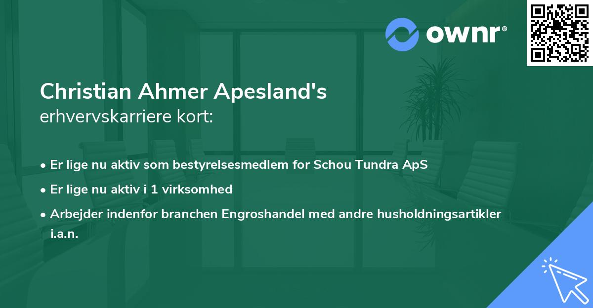 Christian Ahmer Apesland's erhvervskarriere kort