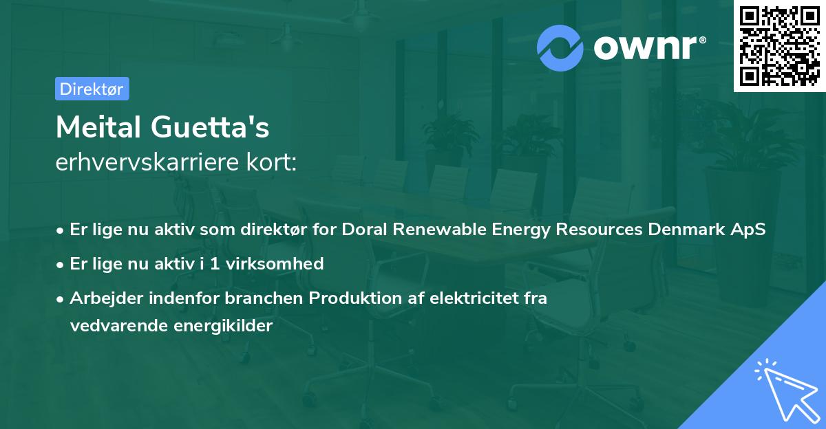 Meital Guetta's erhvervskarriere kort