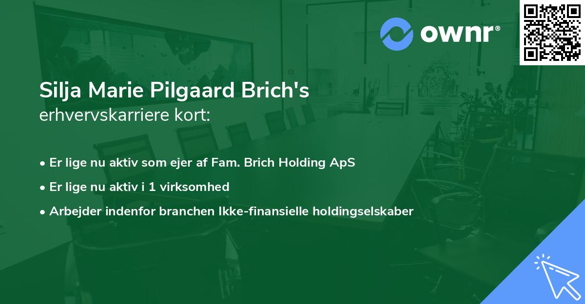 Silja Marie Pilgaard Brich's erhvervskarriere kort
