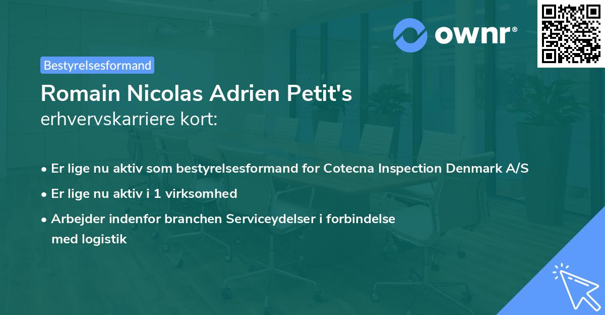 Romain Nicolas Adrien Petit's erhvervskarriere kort
