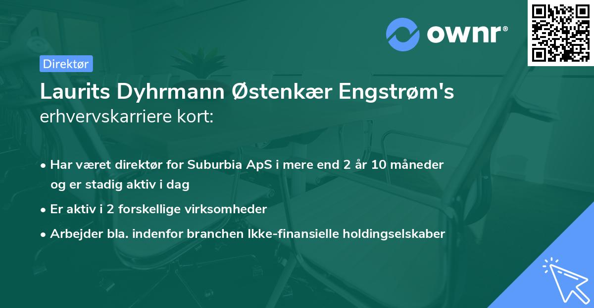 Laurits Dyhrmann Østenkær Engstrøm's erhvervskarriere kort