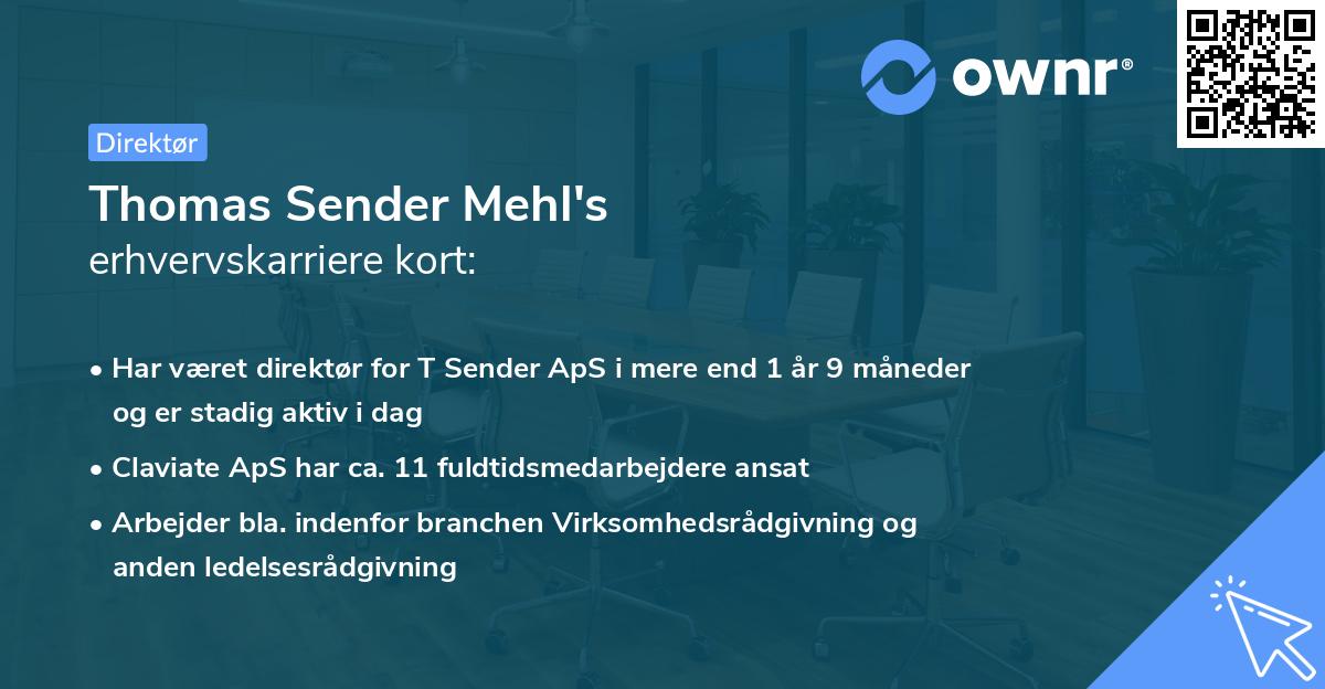 Thomas Sender Mehl's erhvervskarriere kort