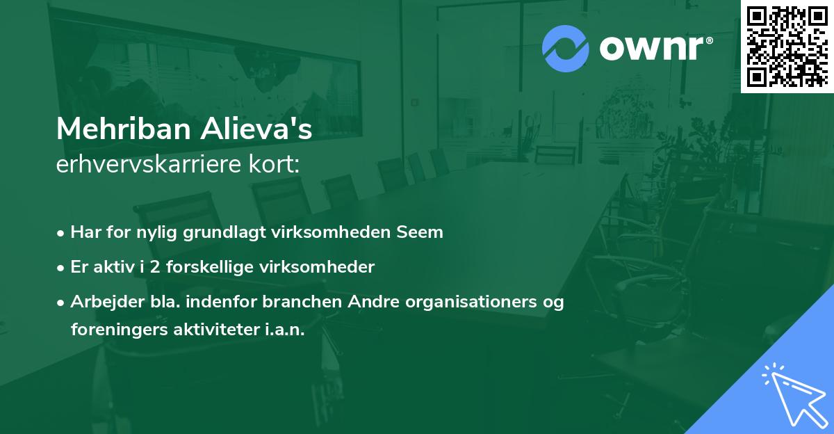 Mehriban Alieva's erhvervskarriere kort