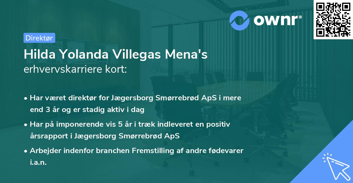 Hilda Yolanda Villegas Mena's erhvervskarriere kort