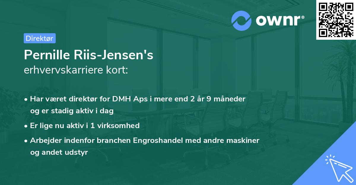 Pernille Riis-Jensen's erhvervskarriere kort