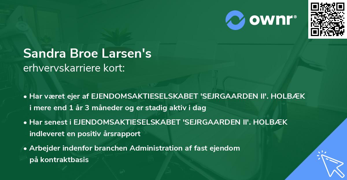 Sandra Broe Larsen's erhvervskarriere kort