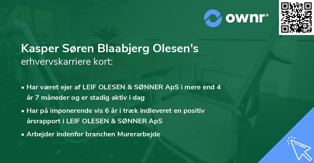 Kasper Søren Blaabjerg Olesen's erhvervskarriere kort