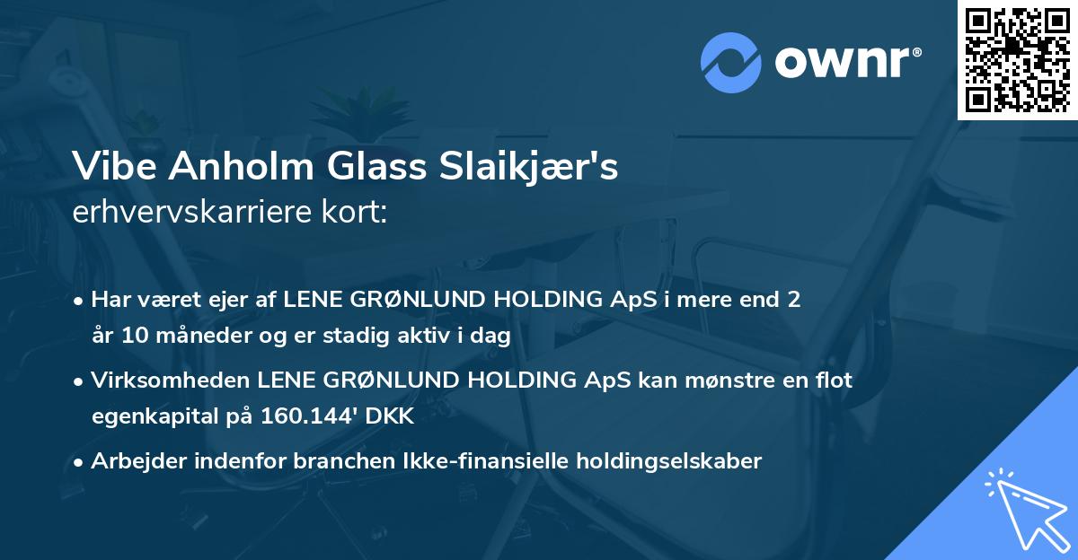Vibe Anholm Glass Slaikjær's erhvervskarriere kort