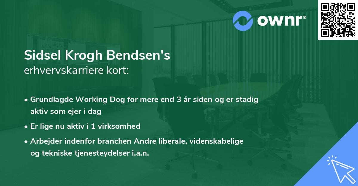 Sidsel Krogh Bendsen's erhvervskarriere kort