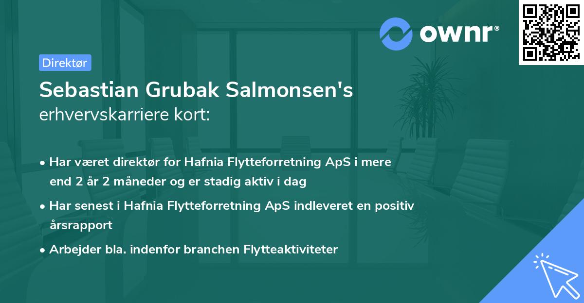 Sebastian Grubak Salmonsen's erhvervskarriere kort