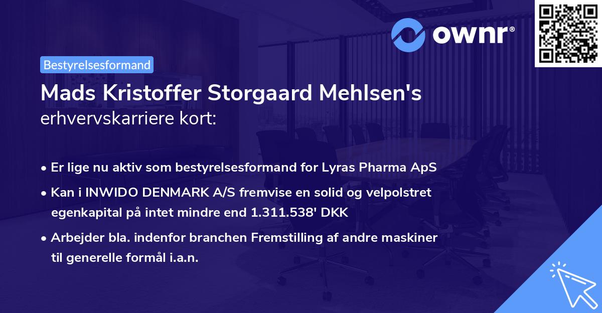 Mads Kristoffer Storgaard Mehlsen's erhvervskarriere kort