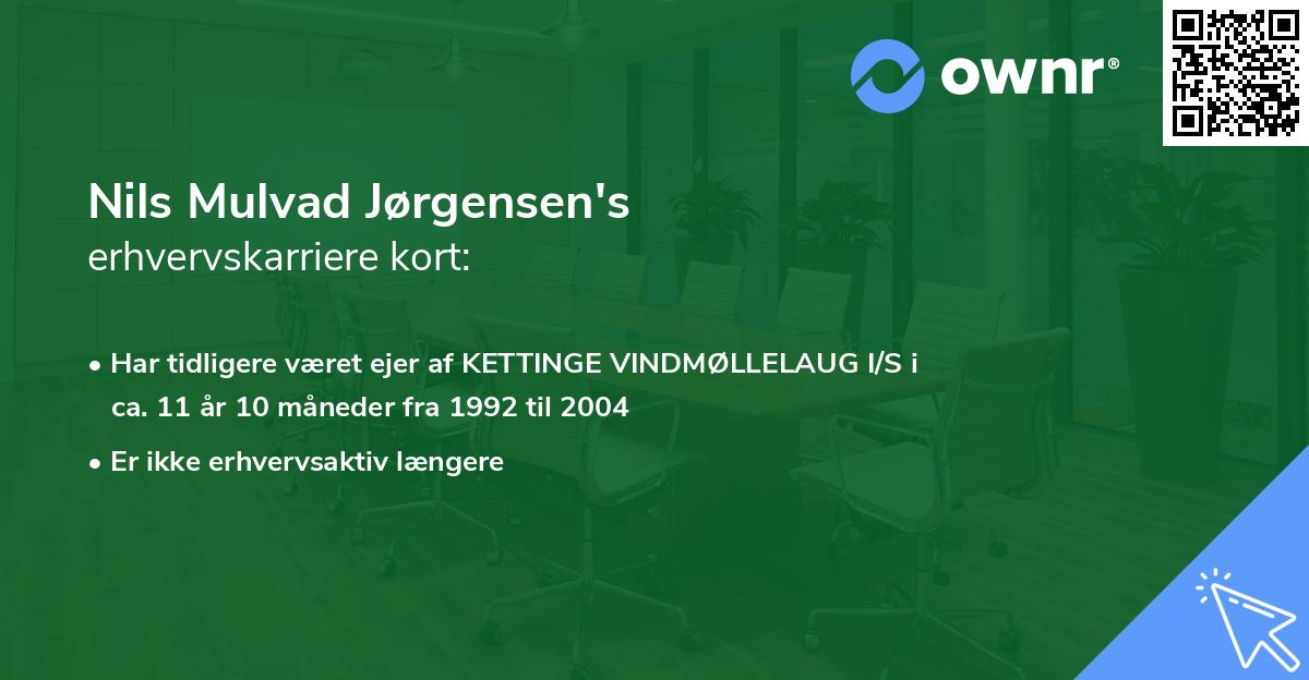 Nils Mulvad Jørgensen's erhvervskarriere kort