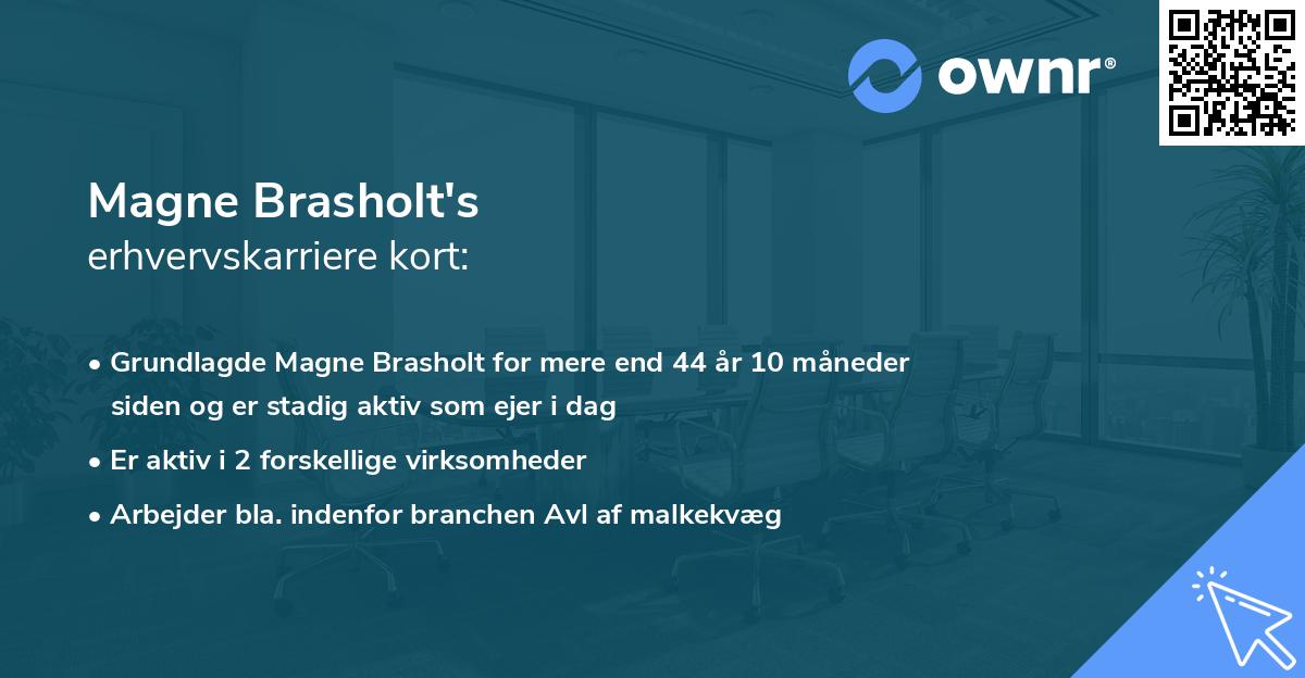 Magne Brasholt's erhvervskarriere kort