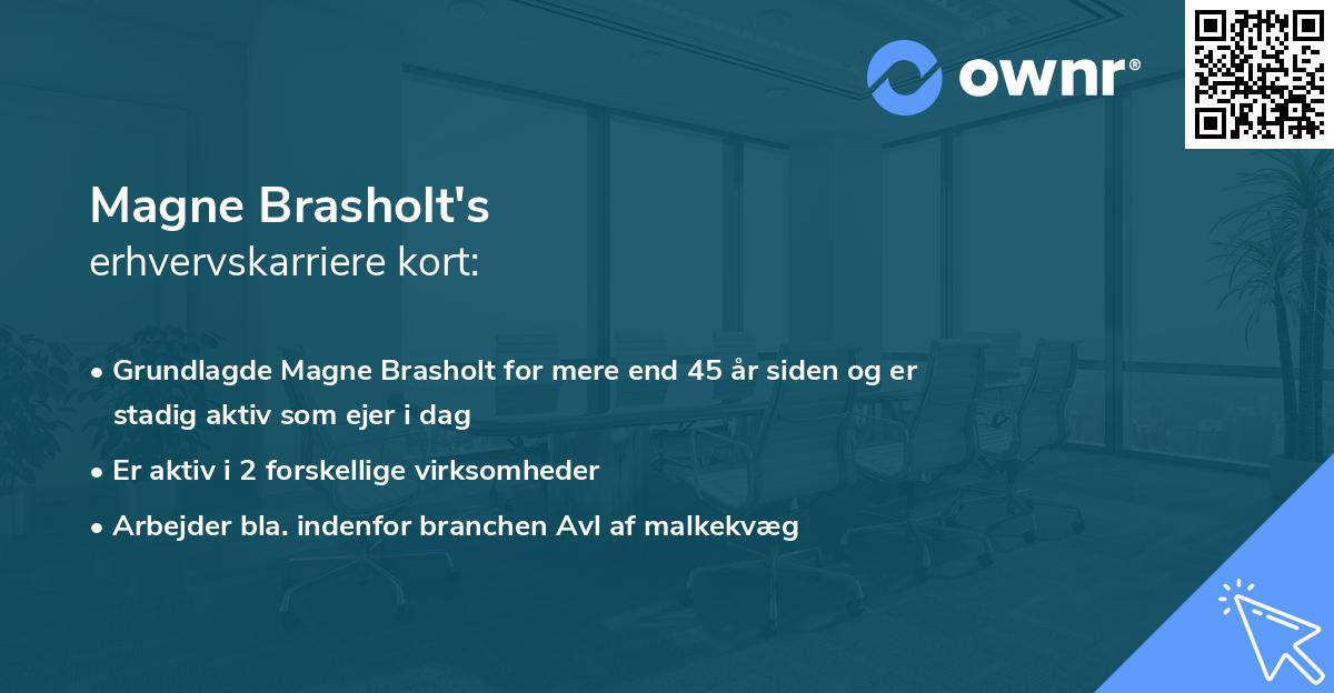 Magne Brasholt's erhvervskarriere kort