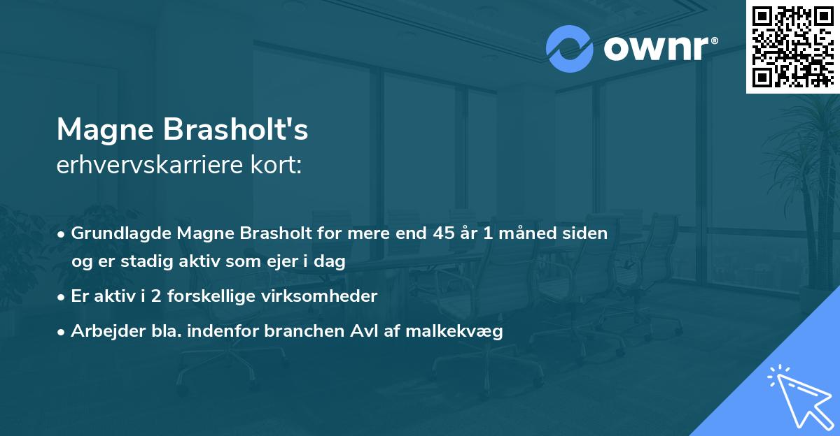 Magne Brasholt's erhvervskarriere kort