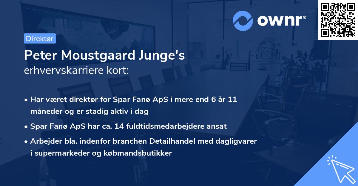 Peter Moustgaard Junge's erhvervskarriere kort