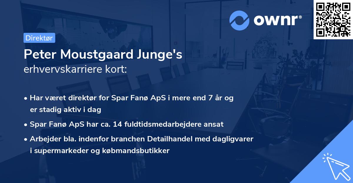 Peter Moustgaard Junge's erhvervskarriere kort
