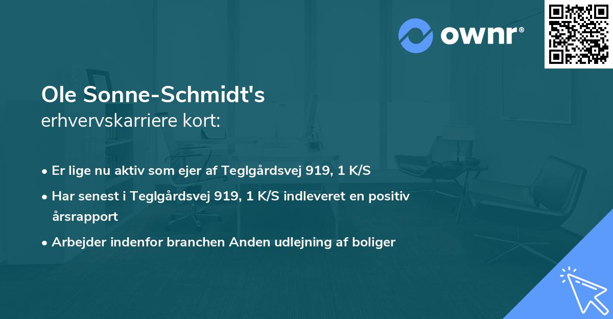 Ole Sonne-Schmidt's erhvervskarriere kort