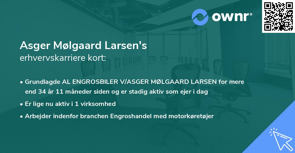 Asger Mølgaard Larsen's erhvervskarriere kort