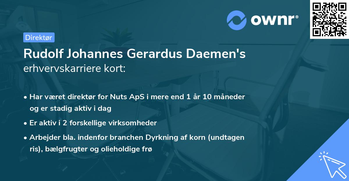 Rudolf Johannes Gerardus Daemen's erhvervskarriere kort