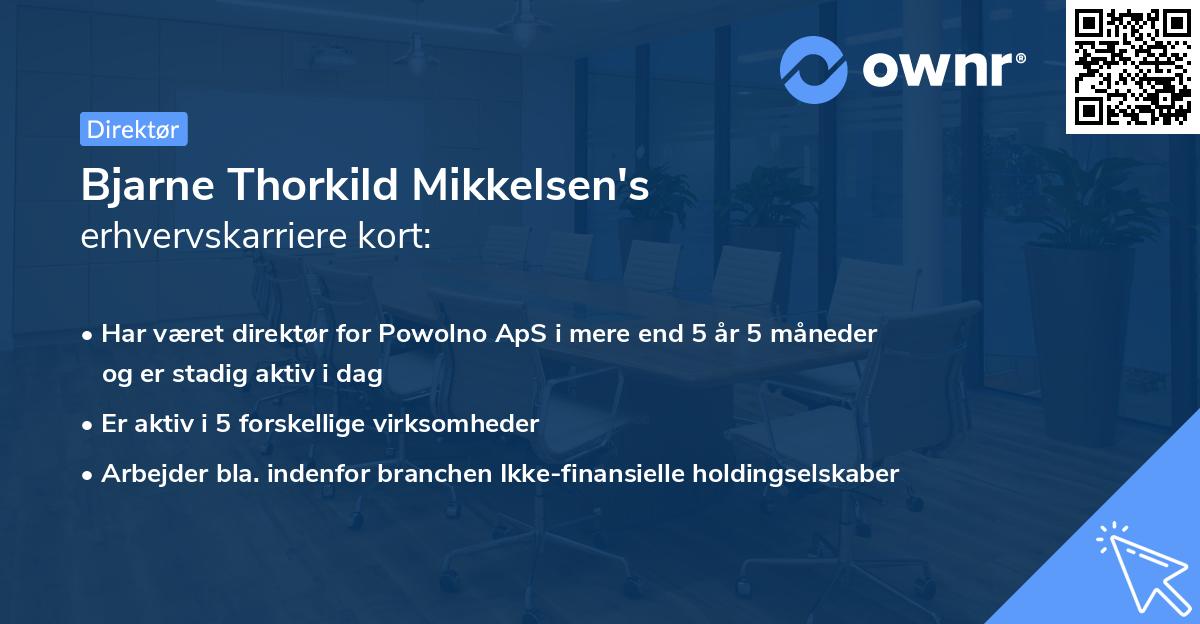 Bjarne Thorkild Mikkelsen's erhvervskarriere kort
