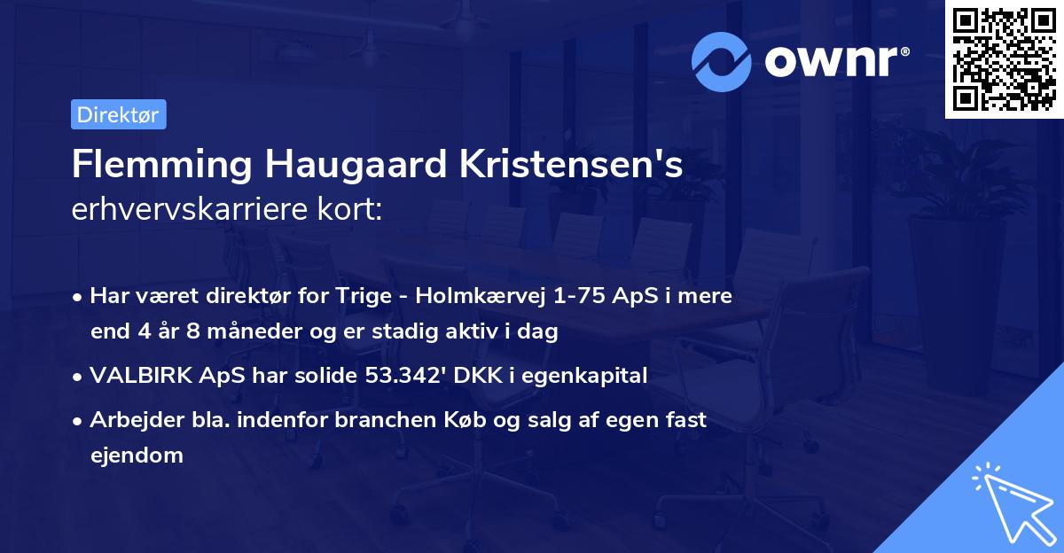 Flemming Haugaard Kristensen's erhvervskarriere kort