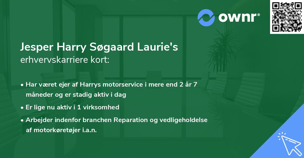 Jesper Harry Søgaard Laurie's erhvervskarriere kort