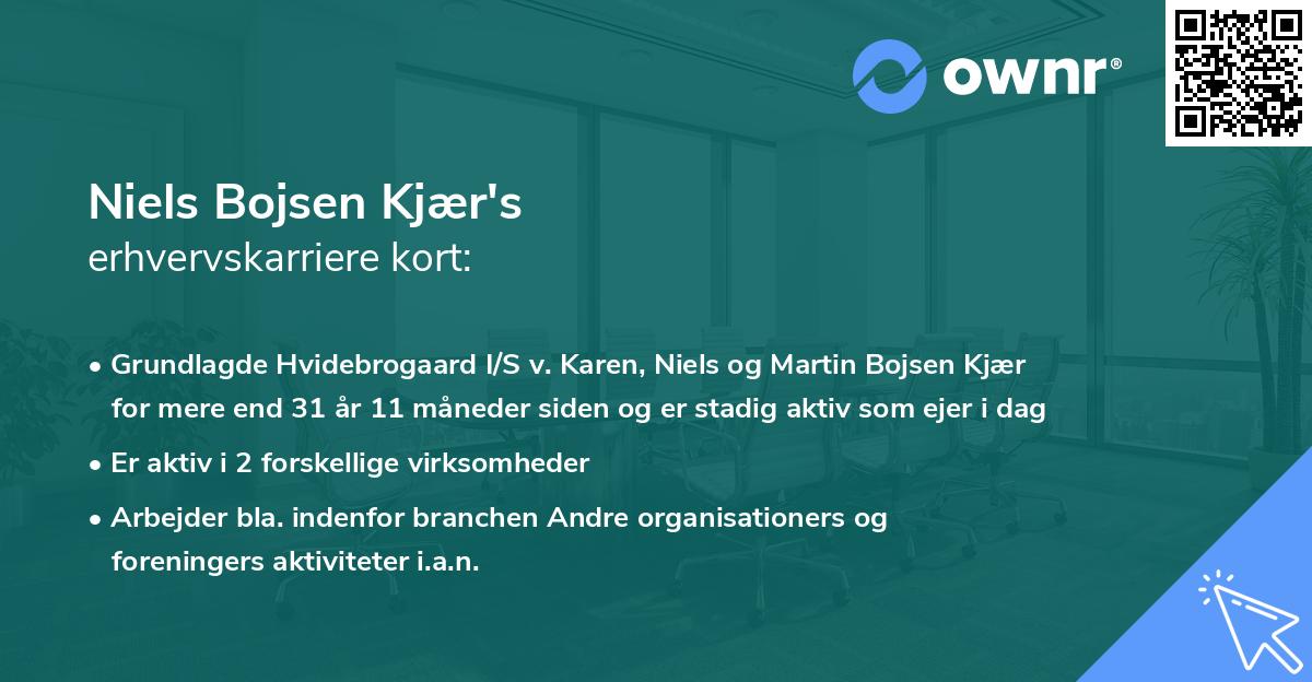 Niels Bojsen Kjær's erhvervskarriere kort