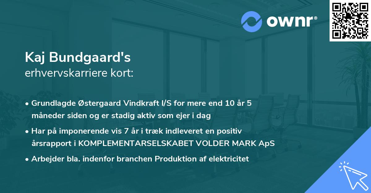 Kaj Bundgaard's erhvervskarriere kort