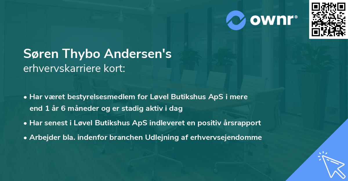 Søren Thybo Andersen's erhvervskarriere kort