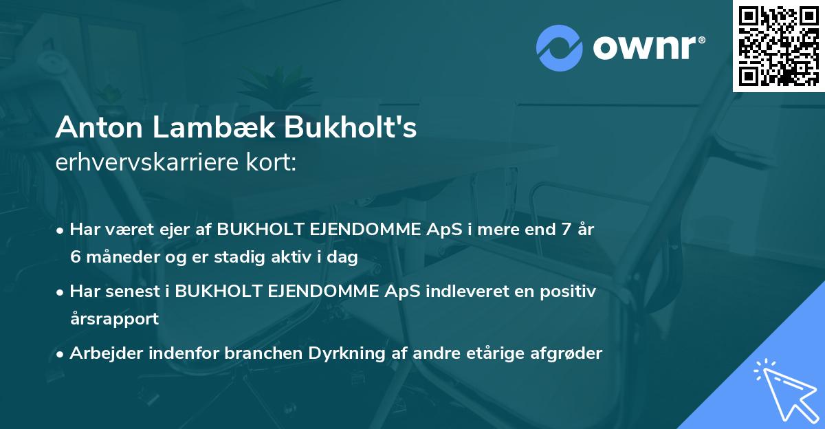 Anton Lambæk Bukholt's erhvervskarriere kort