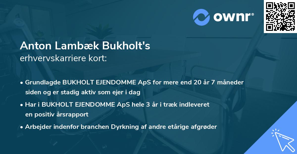 Anton Lambæk Bukholt's erhvervskarriere kort