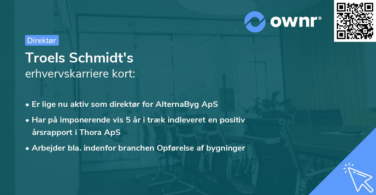 Troels Schmidt's erhvervskarriere kort