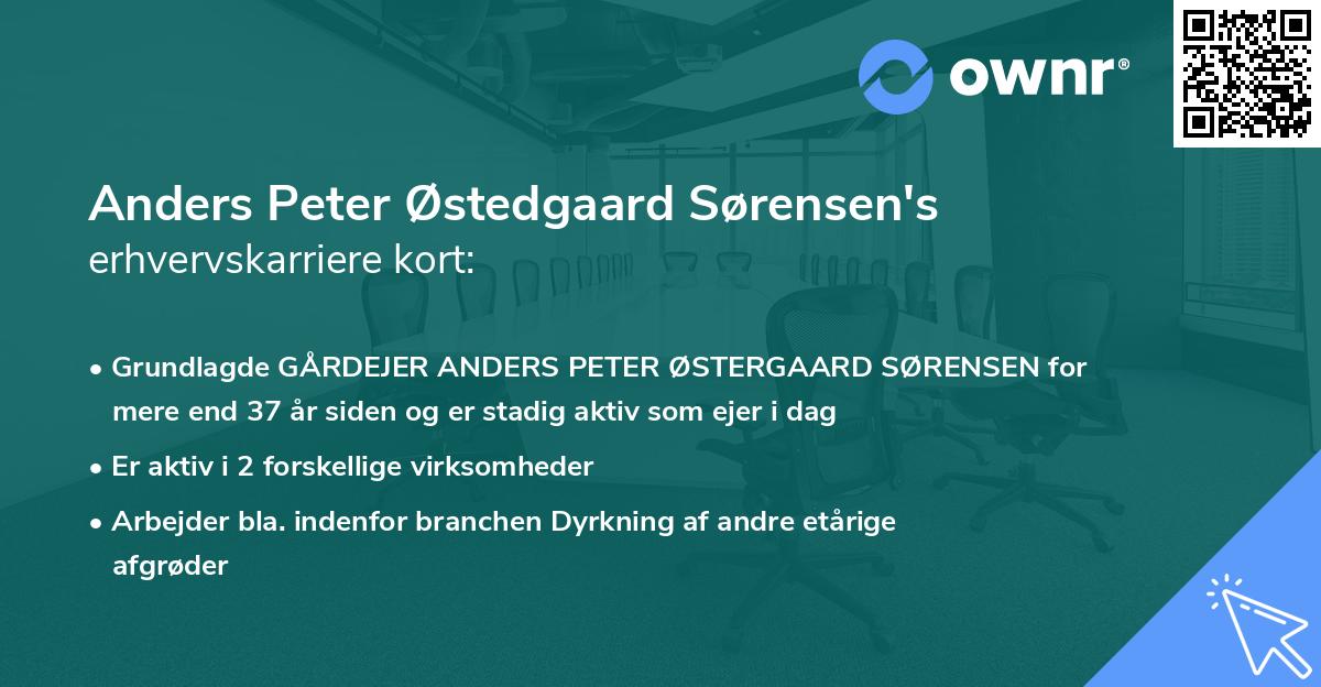 Anders Peter Østedgaard Sørensen's erhvervskarriere kort