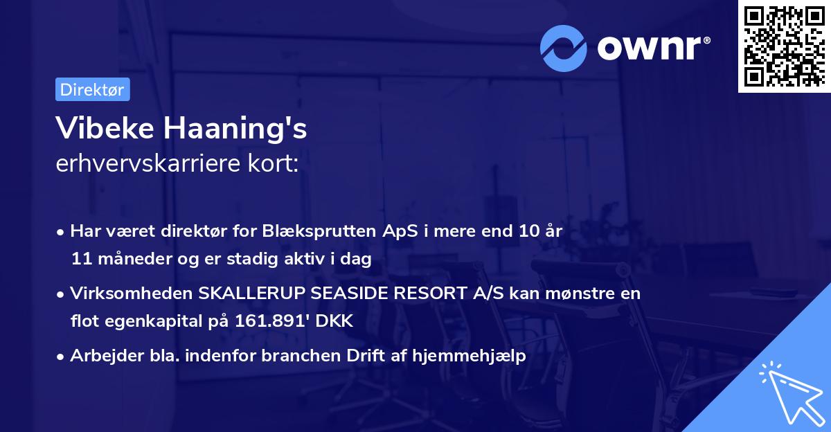 Vibeke Haaning's erhvervskarriere kort