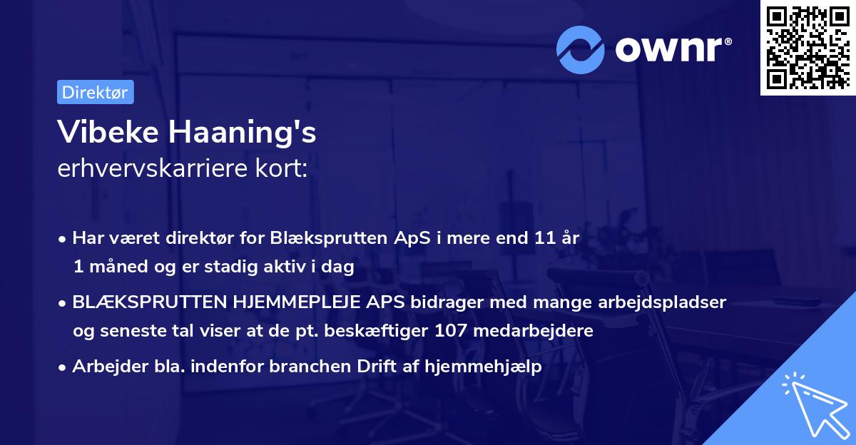 Vibeke Haaning's erhvervskarriere kort