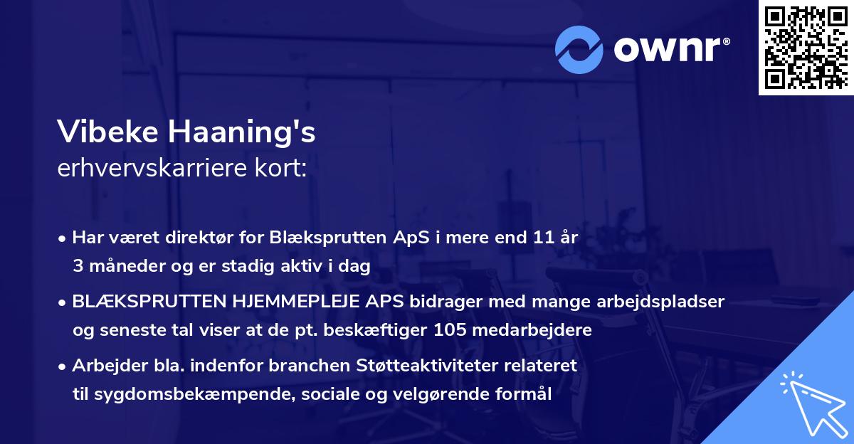 Vibeke Haaning's erhvervskarriere kort
