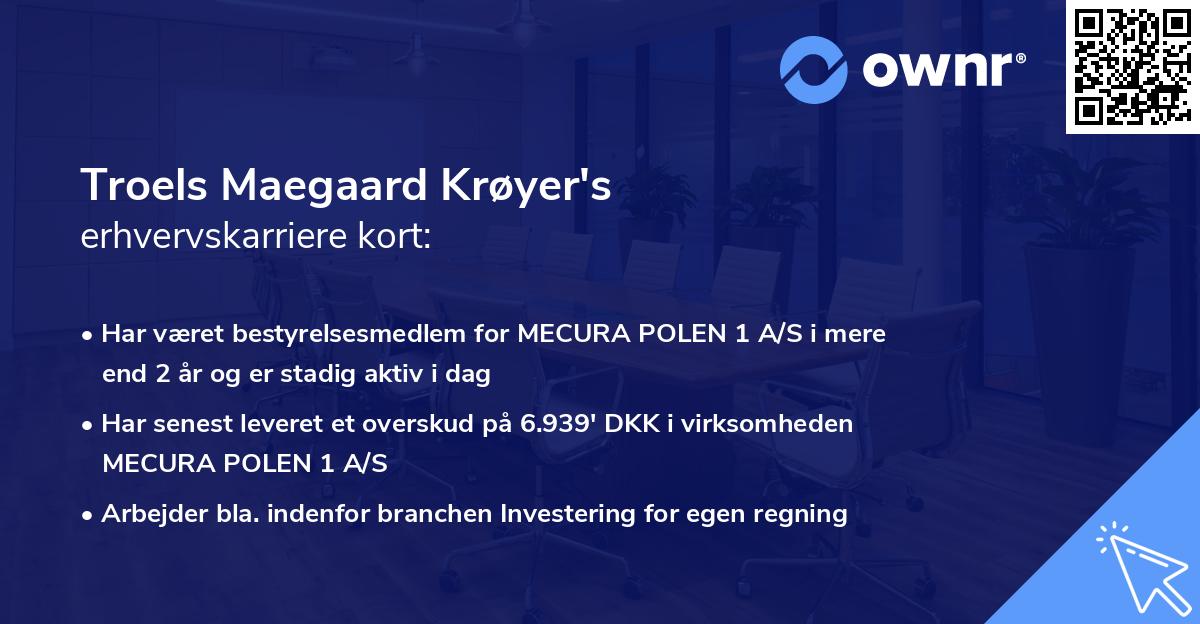 Troels Maegaard Krøyer's erhvervskarriere kort