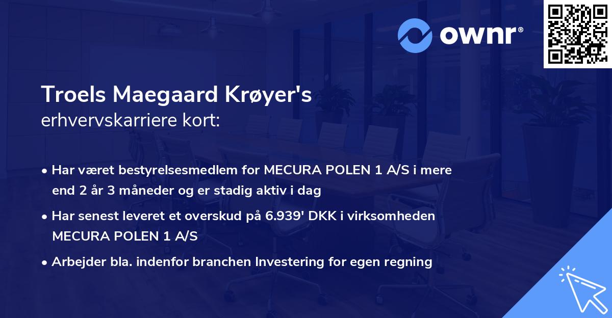 Troels Maegaard Krøyer's erhvervskarriere kort