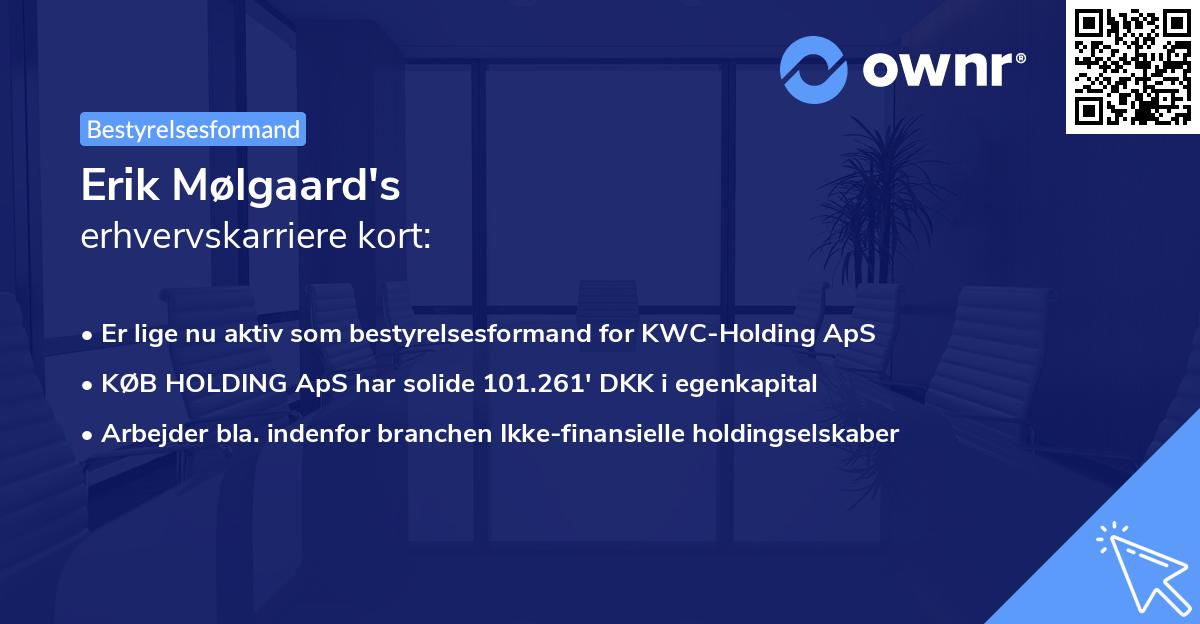 Erik Mølgaard's erhvervskarriere kort