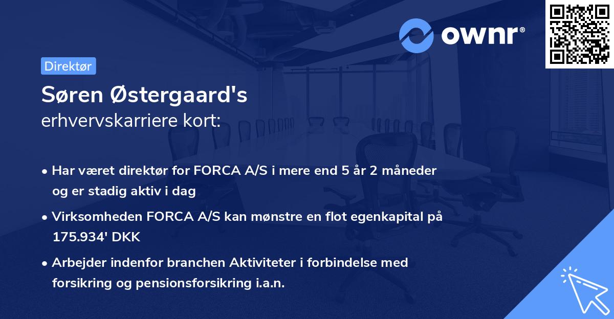 Søren Østergaard's erhvervskarriere kort