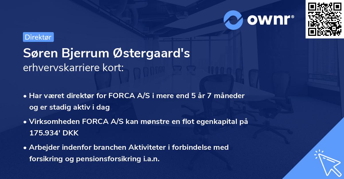 Søren Bjerrum Østergaard's erhvervskarriere kort