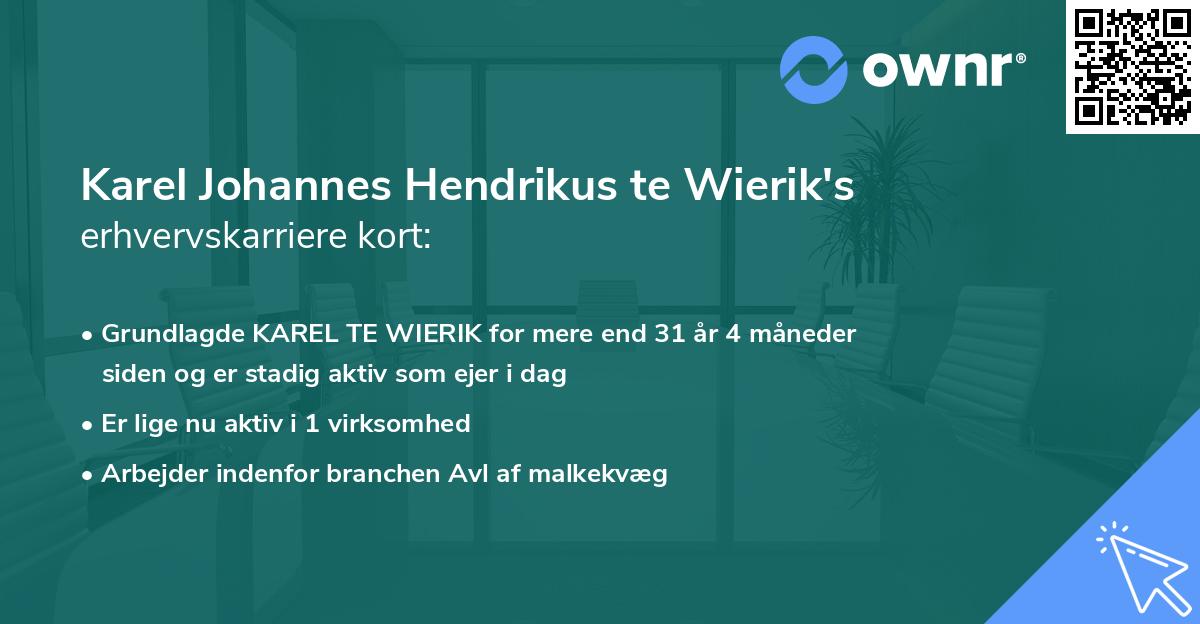 Karel Johannes Hendrikus te Wierik's erhvervskarriere kort