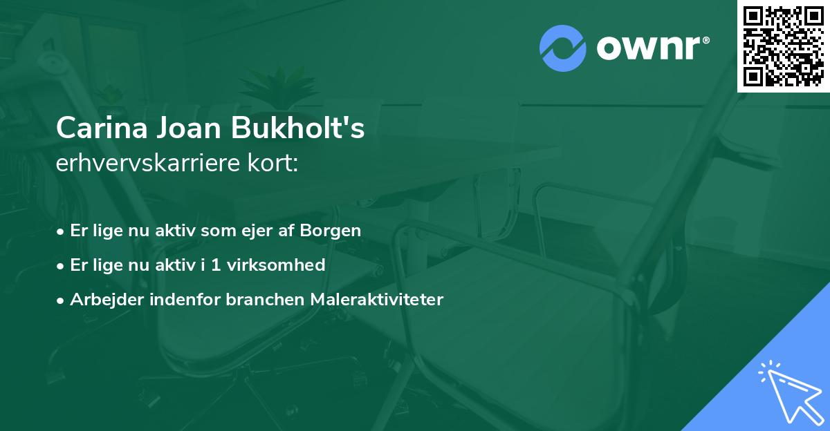 Carina Joan Bukholt's erhvervskarriere kort