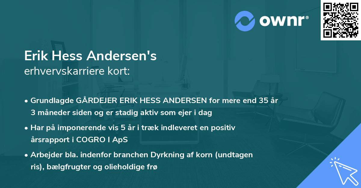 Erik Hess Andersen's erhvervskarriere kort