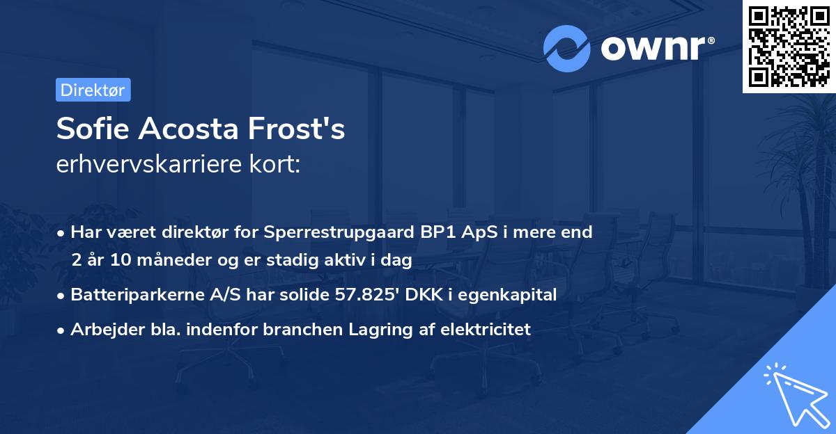 Sofie Acosta Frost's erhvervskarriere kort