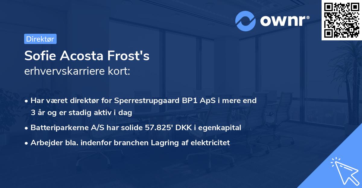 Sofie Acosta Frost's erhvervskarriere kort